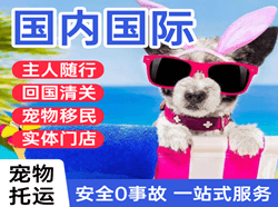 成吉思汗航空快递国际宠物托运 【国